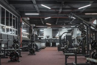 Gymnasium